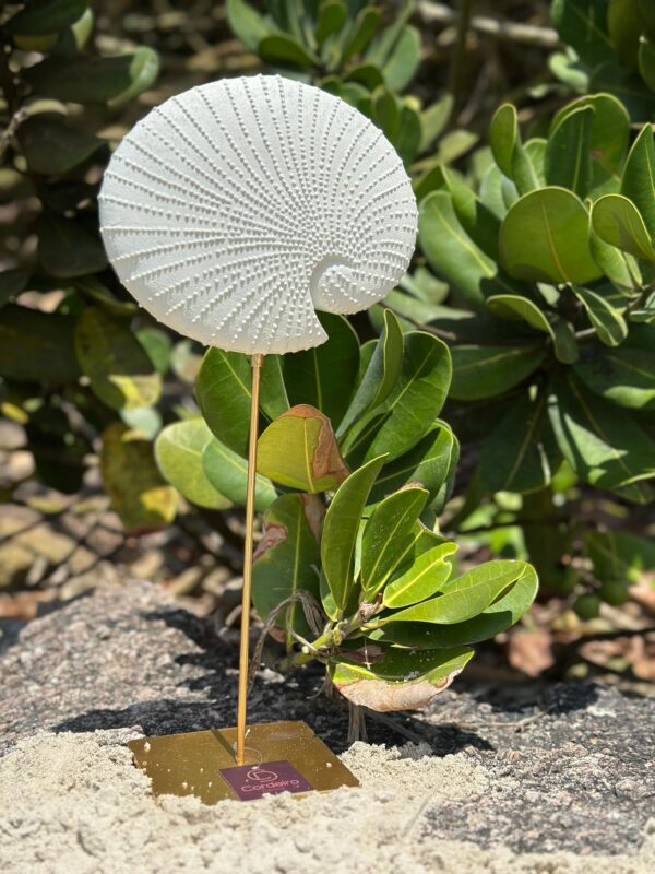 Escultura de Concha em Resina - G