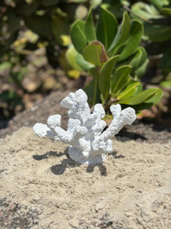 Escultura Coral em Resina - P
