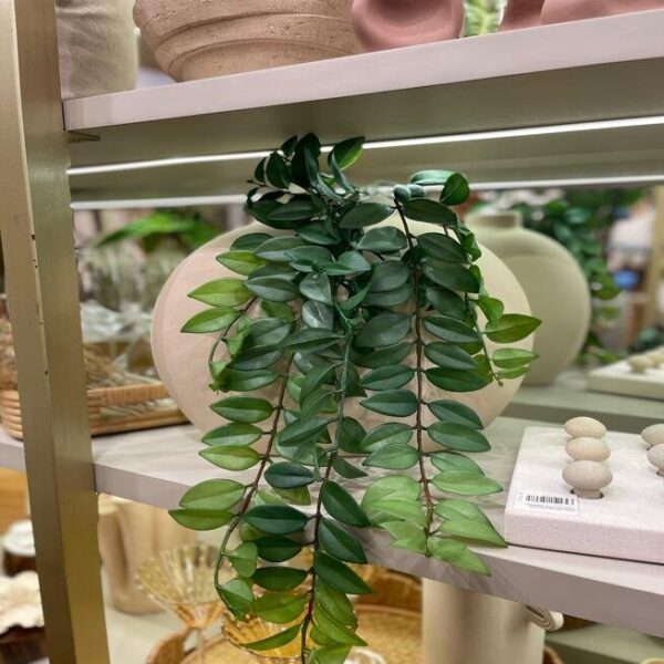 Haste Pendente de Jiboia Verde | Folhagem Decorativa para Ambientes